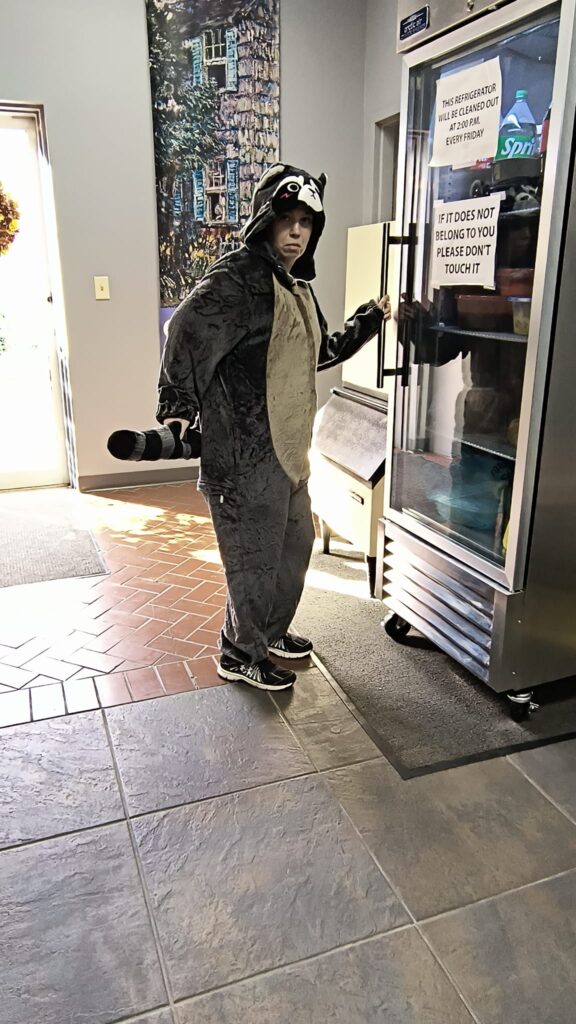 Racoon Getting In Fridge